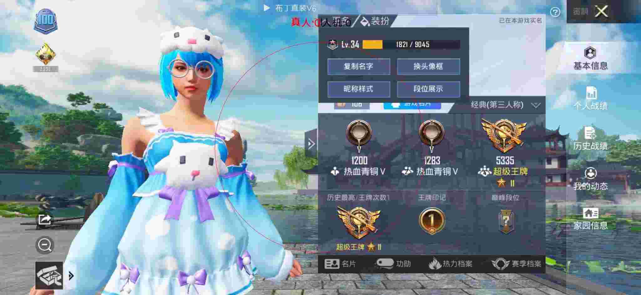 和平精英布丁直装透视 - 和平精英跳伞辅助线辅助预览图